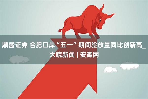 鼎盛证券 合肥口岸“五一”期间验放量同比创新高_大皖新闻 | 安徽网