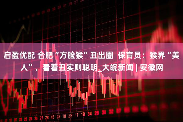启盈优配 合肥“方脸猴”丑出圈  保育员：猴界“美人”，看着丑实则聪明_大皖新闻 | 安徽网