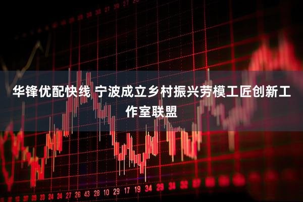 华锋优配快线 宁波成立乡村振兴劳模工匠创新工作室联盟