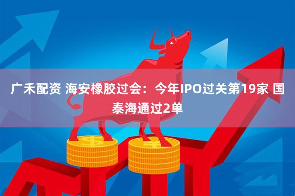 广禾配资 海安橡胶过会：今年IPO过关第19家 国泰海通过2单