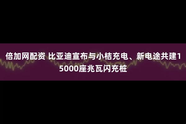 倍加网配资 比亚迪宣布与小桔充电、新电途共建15000座兆瓦闪充桩