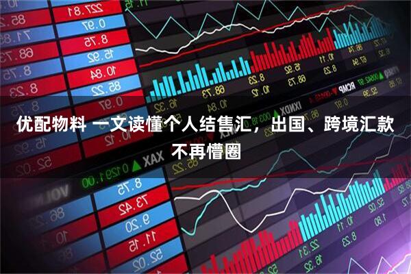 优配物料 一文读懂个人结售汇，出国、跨境汇款不再懵圈