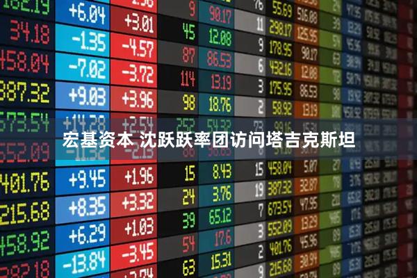 宏基资本 沈跃跃率团访问塔吉克斯坦