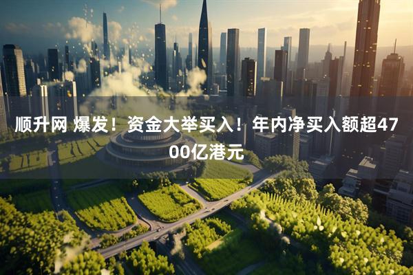 顺升网 爆发！资金大举买入！年内净买入额超4700亿港元